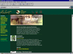 ScreenShot - www.Archaya.com